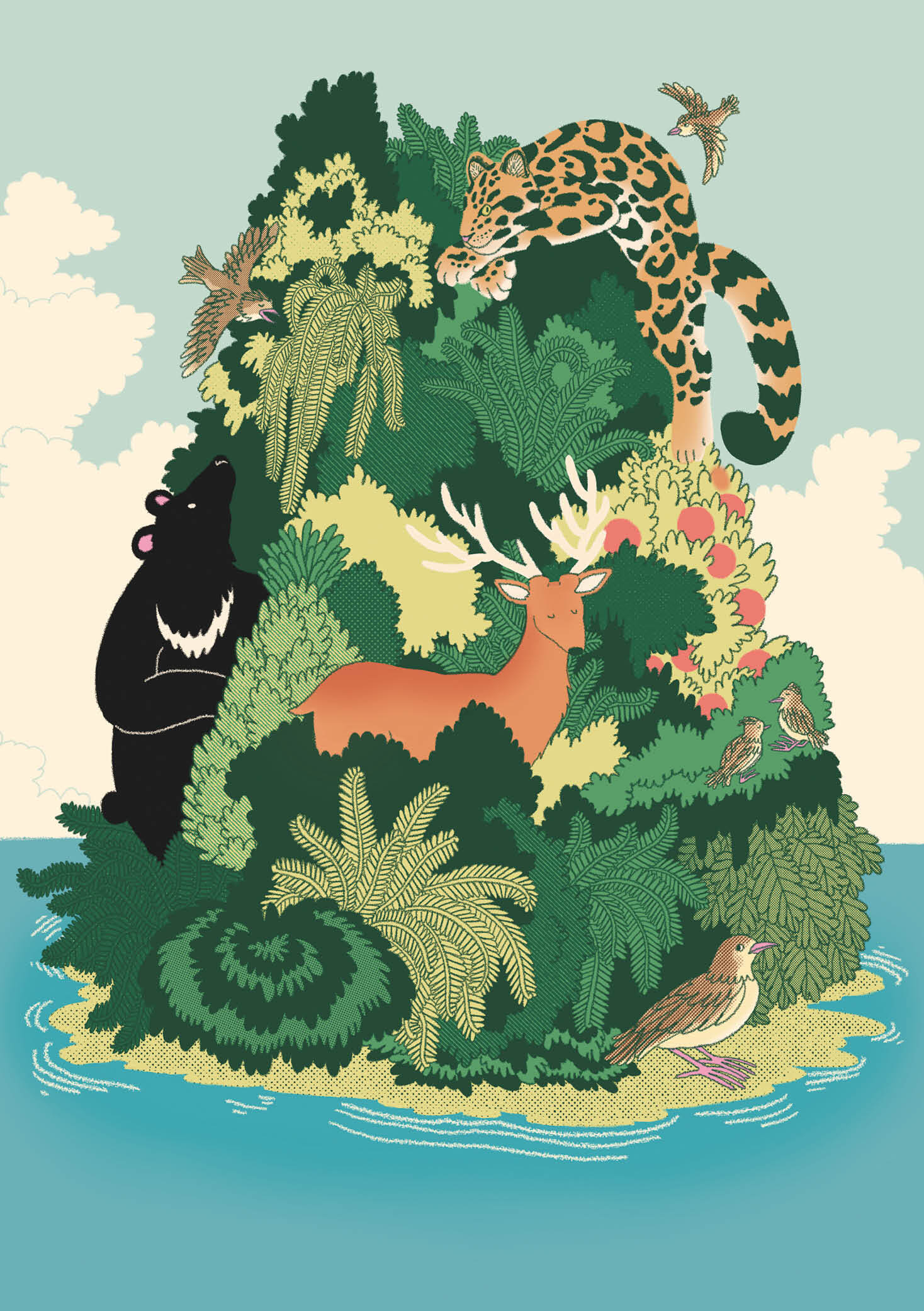 臺灣特有亞種的故事：小雲雀、水鹿、黑熊、雲豹