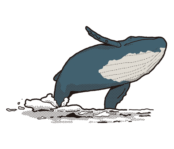 C 比媽祖更早的臺灣海洋守護者