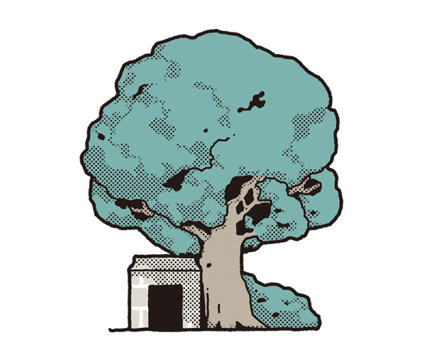 D 「大樹公」不只活很久還很神！