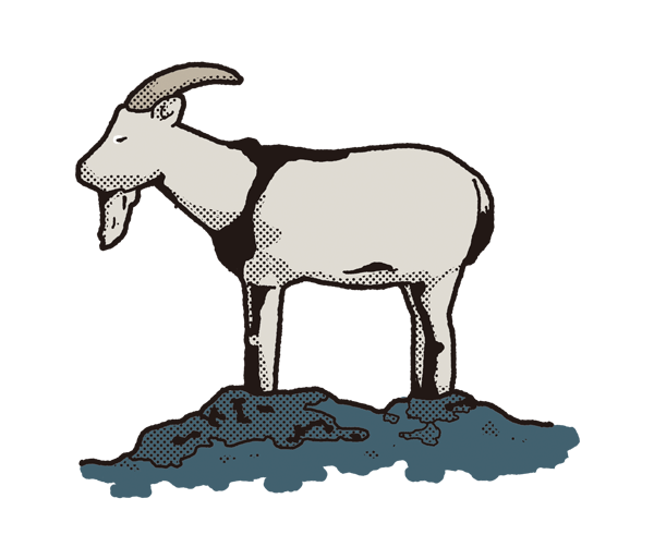 E 蘭嶼島上的神祕羊角力量