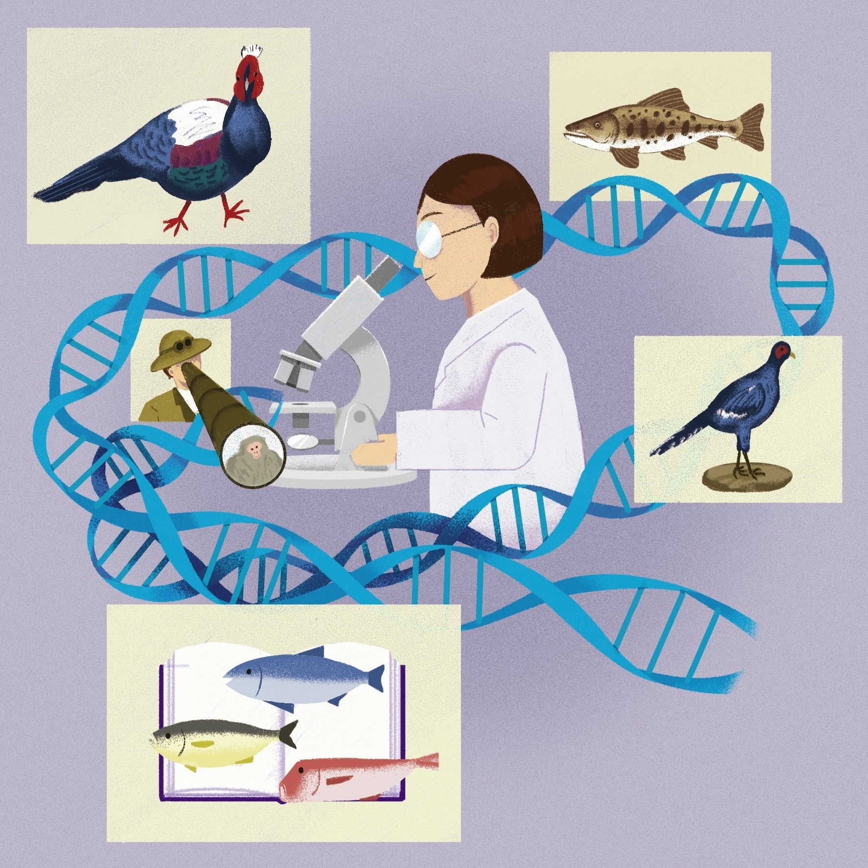 登上世界舞臺的臺灣物種：近代博物學的發現與發明
