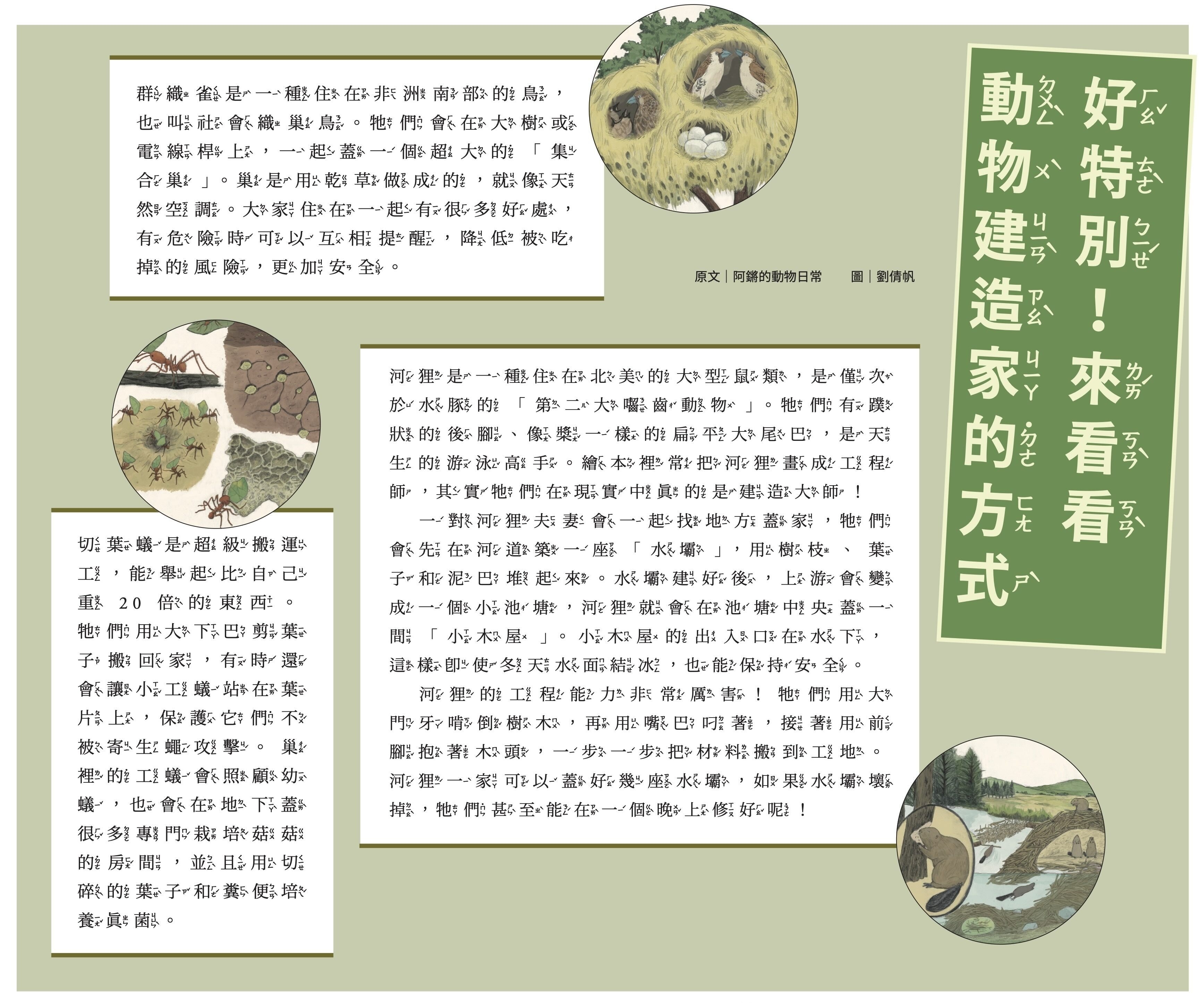 好特別！來看看動物建造家的方式