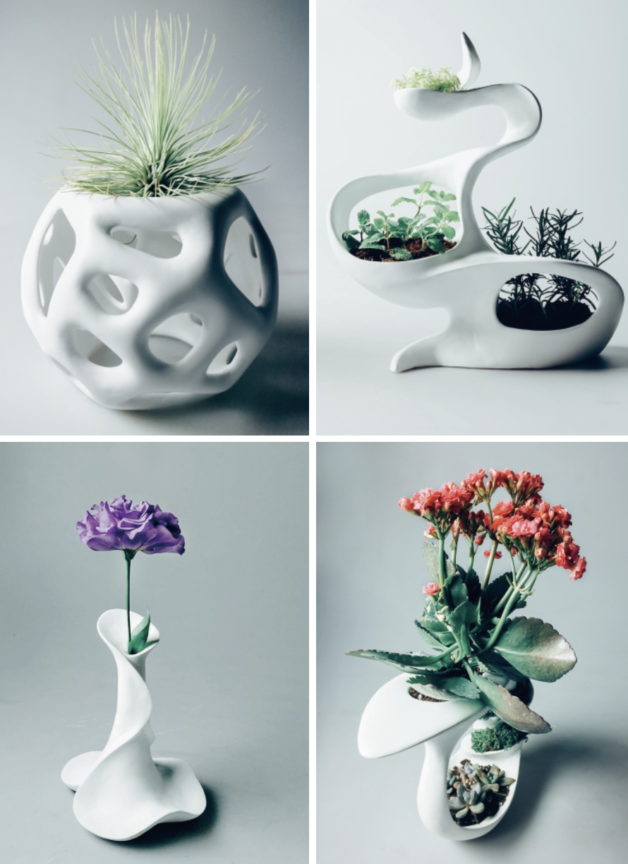 《花器》：利用曲線花器與植物探討植物與器皿之間的關係