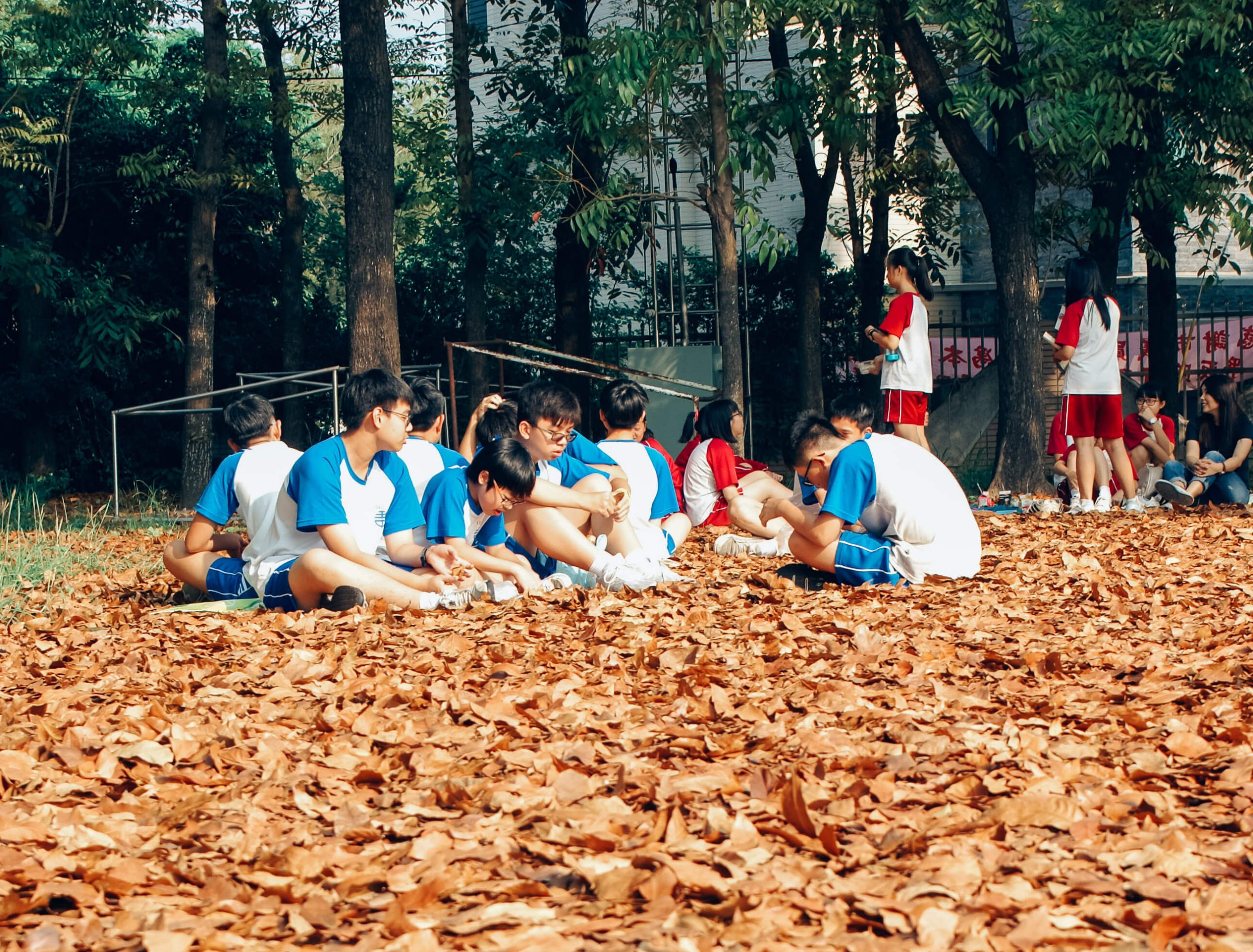 一群學生在落葉堆上盤腿聚集聊天