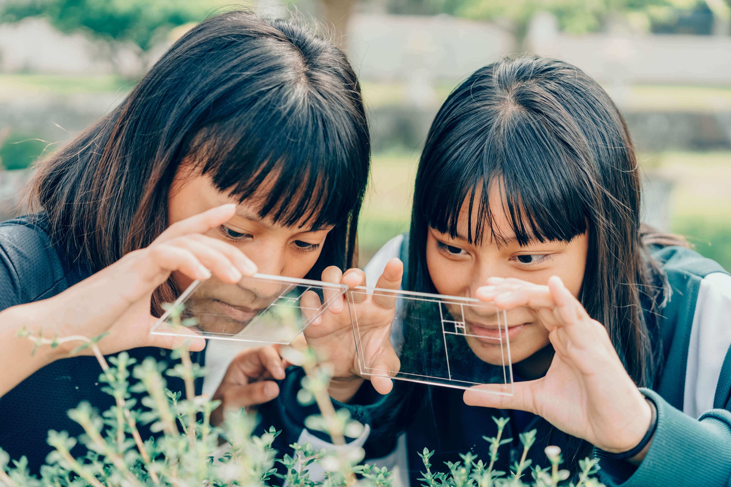 兩位女同學利用透明片上面的比例圖捕捉大自然的幾何比例