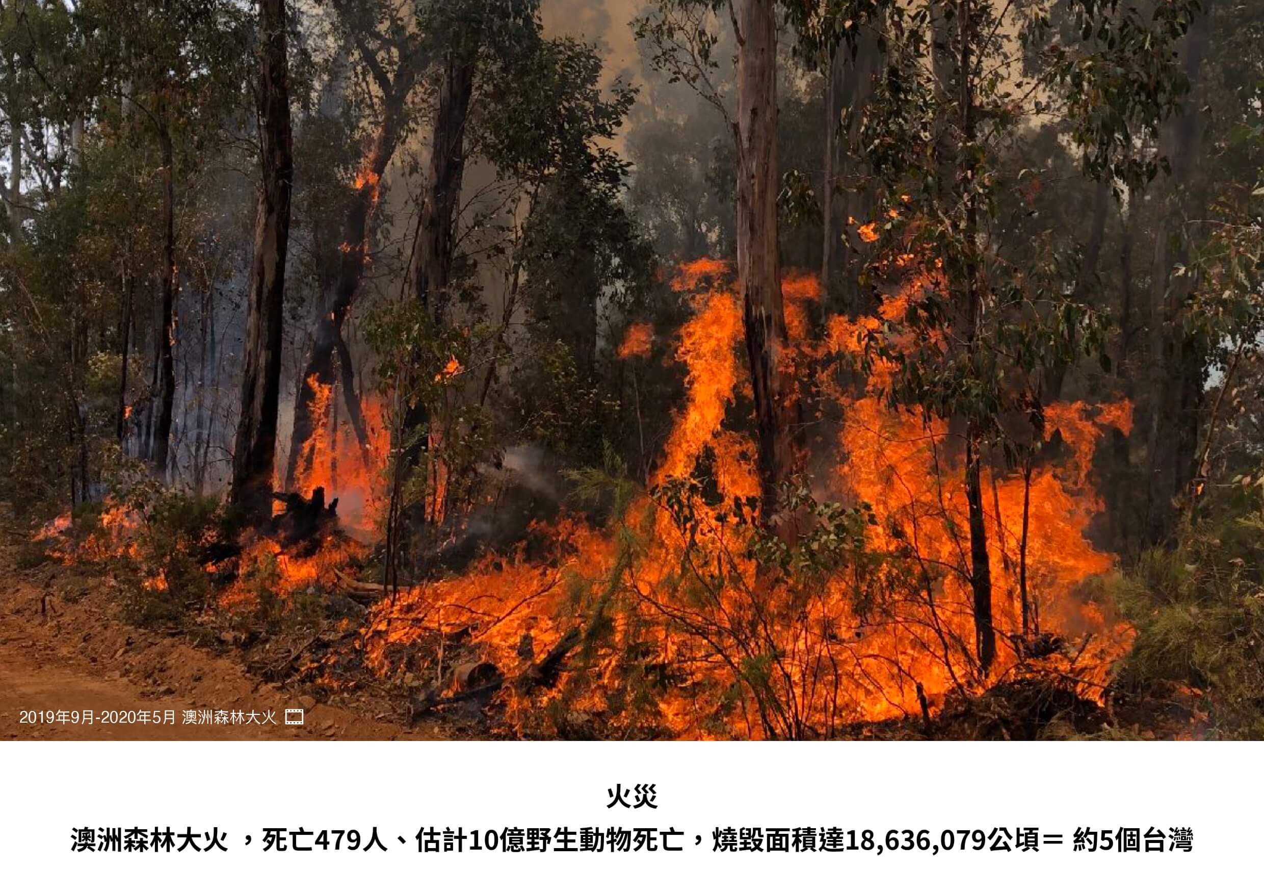 澳洲森林大火紀錄照片