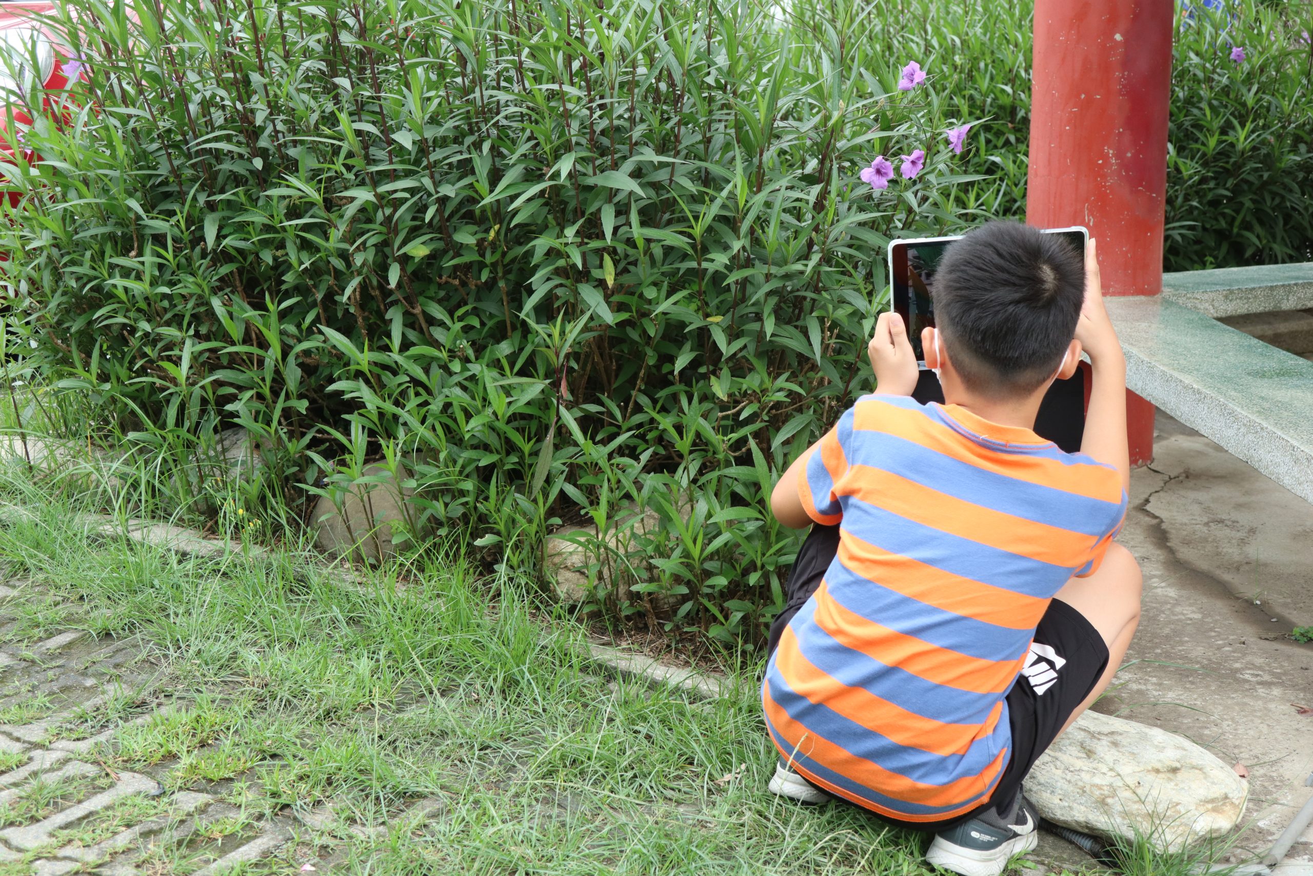 111學年度第二學期於雲林縣斗六市鎮西國民小學施辦自拍拼圖課程實作紀錄系列照片共21張